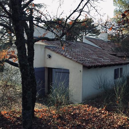 La Maison De Mado Et Sa Cabane Dans Les Arbres Plan d'Aups Экстерьер фото