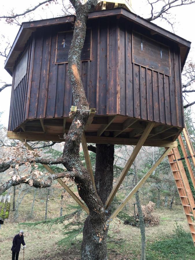 La Maison De Mado Et Sa Cabane Dans Les Arbres Plan d'Aups Экстерьер фото